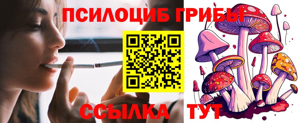 закладка  Вход с VPN  Галлюциногенные грибы прущие грибы  Люберцы  Псилоцибиновые грибы ЛСД 